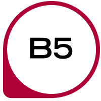 B5 Vitamin