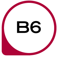 B6 Vitamin