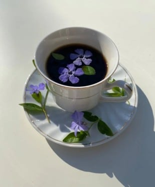 Jasmin Kaffe