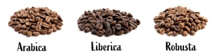 Liberica coffee