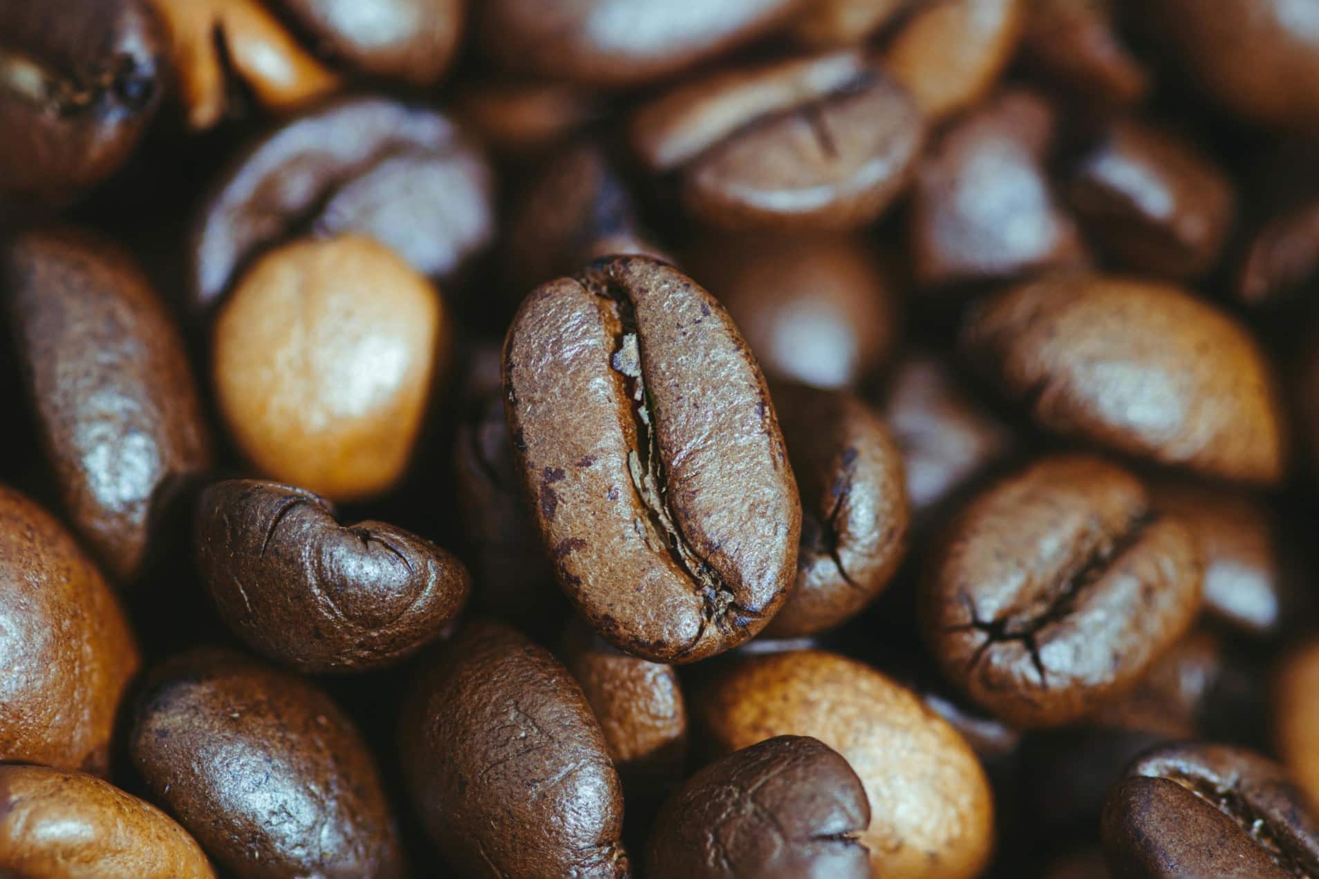Typica Kaffesorten